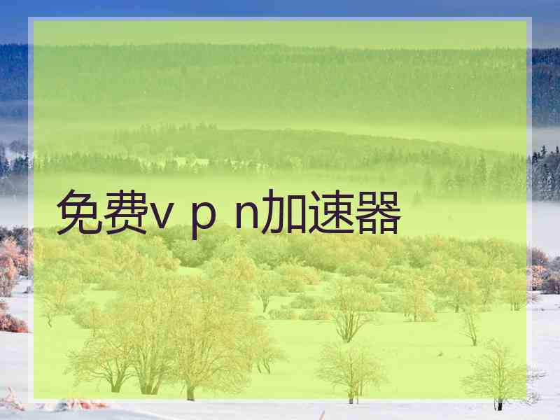 免费v p n加速器