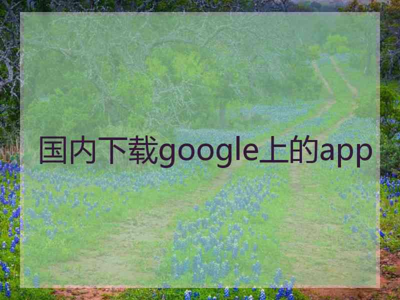 国内下载google上的app