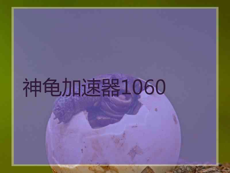 神龟加速器1060