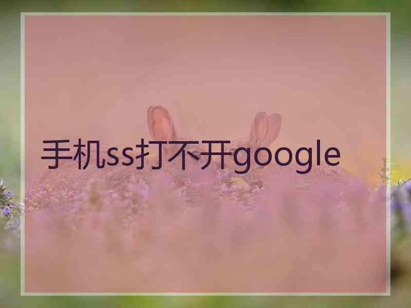 手机ss打不开google