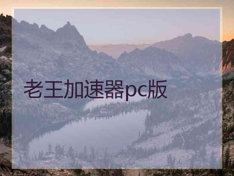 老王加速器pc版