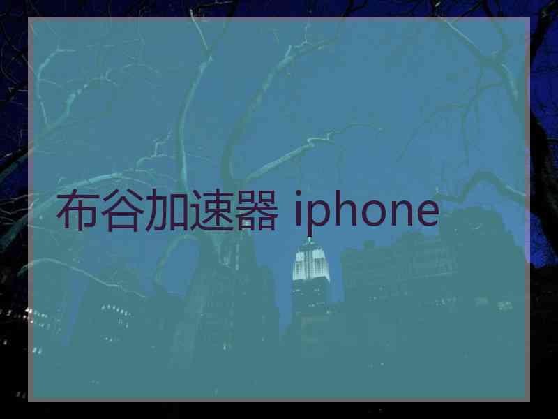 布谷加速器 iphone