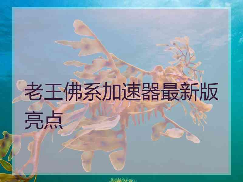 老王佛系加速器最新版亮点