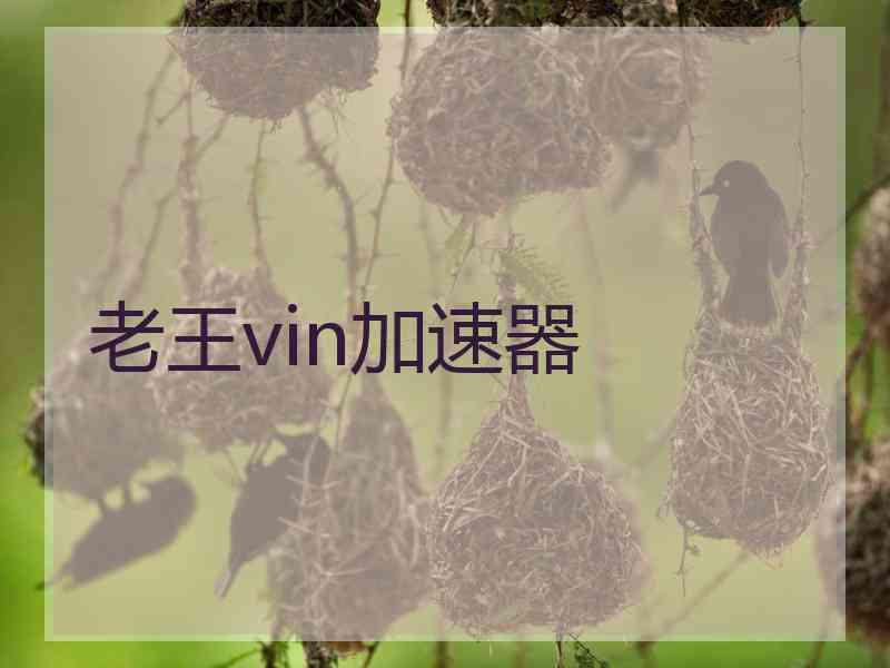 老王vin加速器