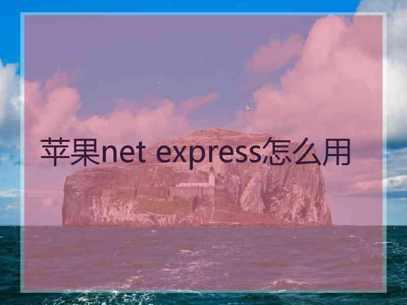 苹果net express怎么用