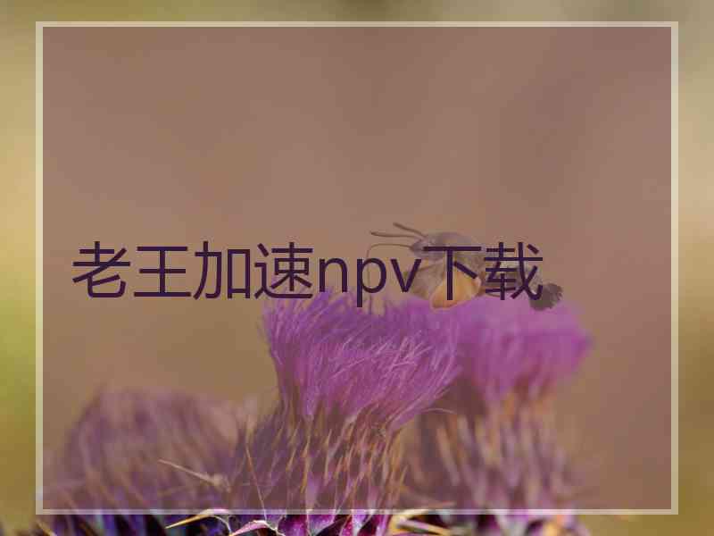 老王加速npv下载