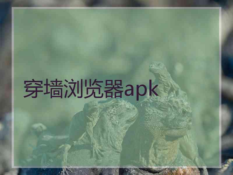 穿墙浏览器apk