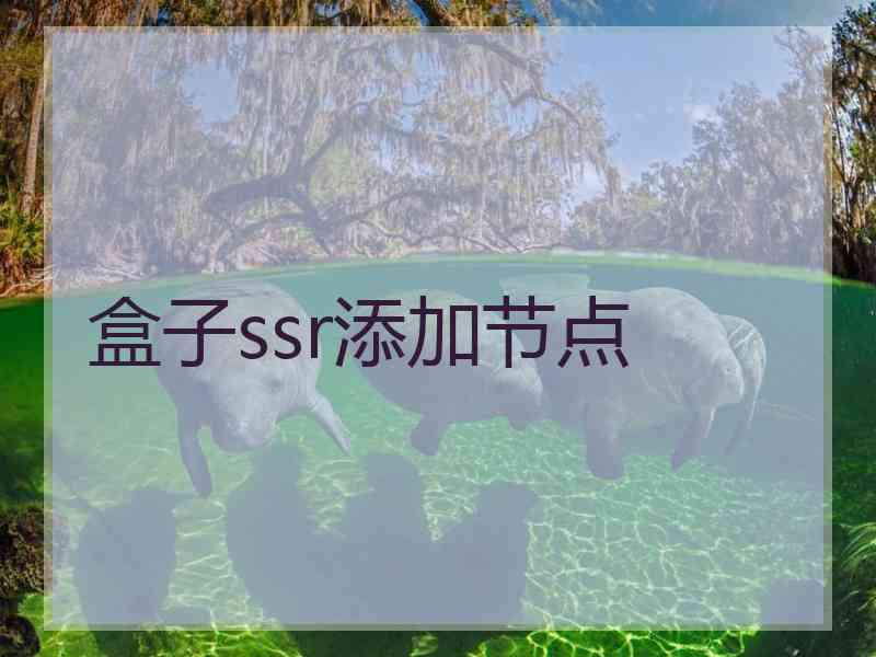 盒子ssr添加节点