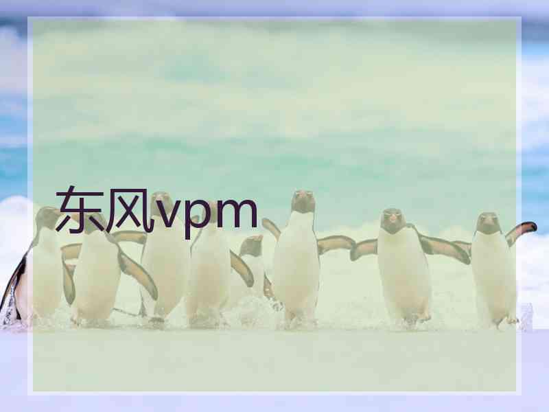 东风vpm