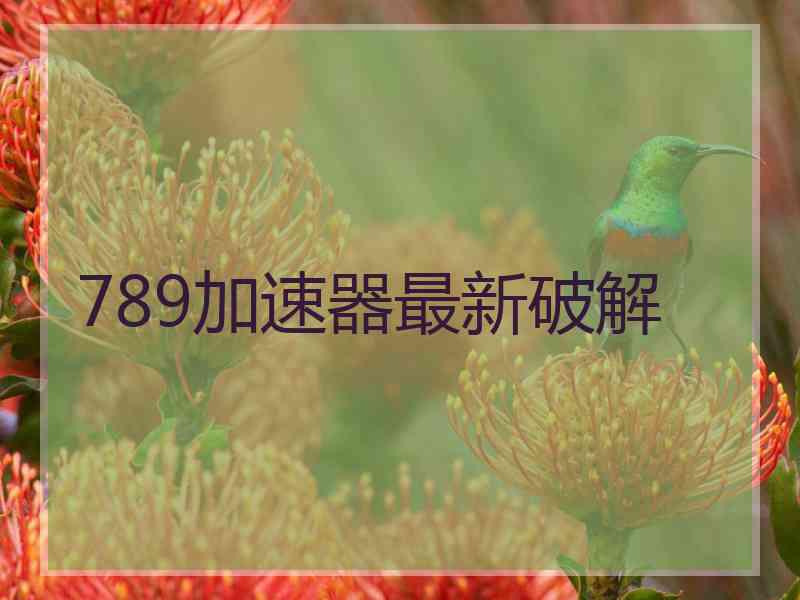 789加速器最新破解