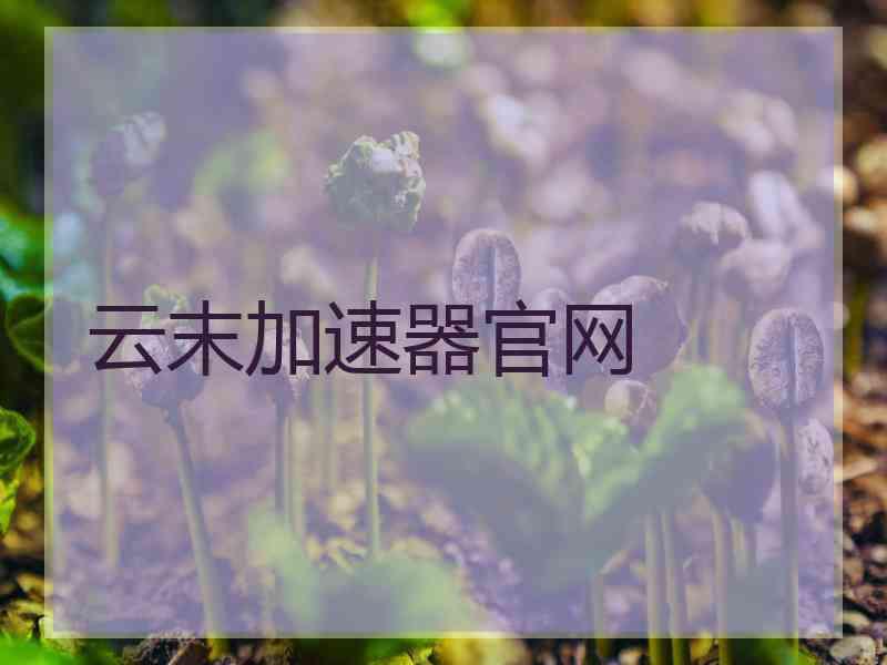 云末加速器官网