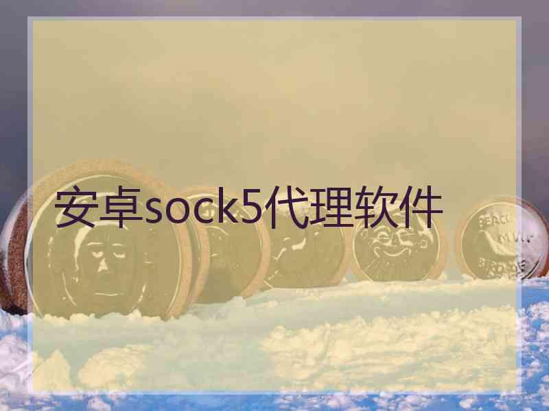 安卓sock5代理软件