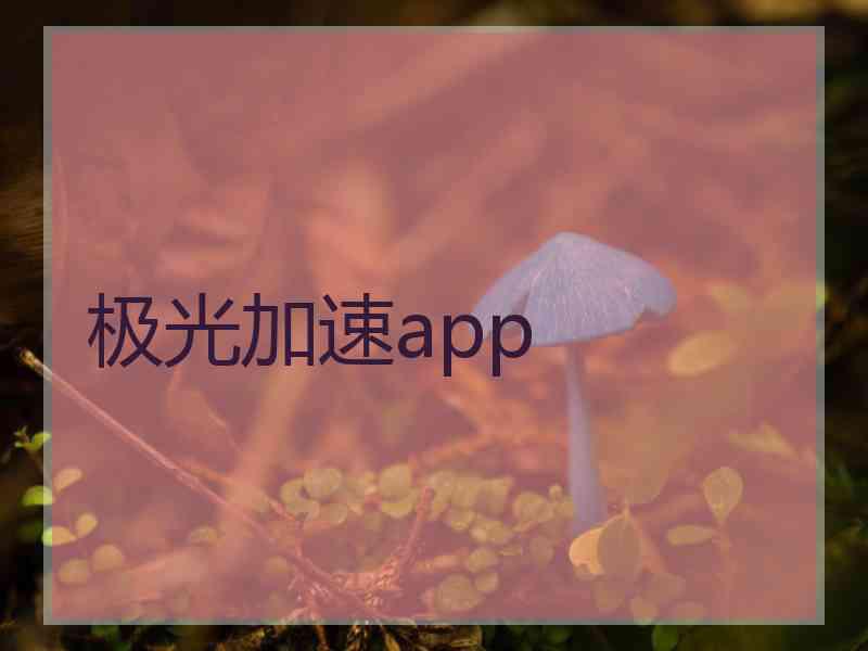 极光加速app