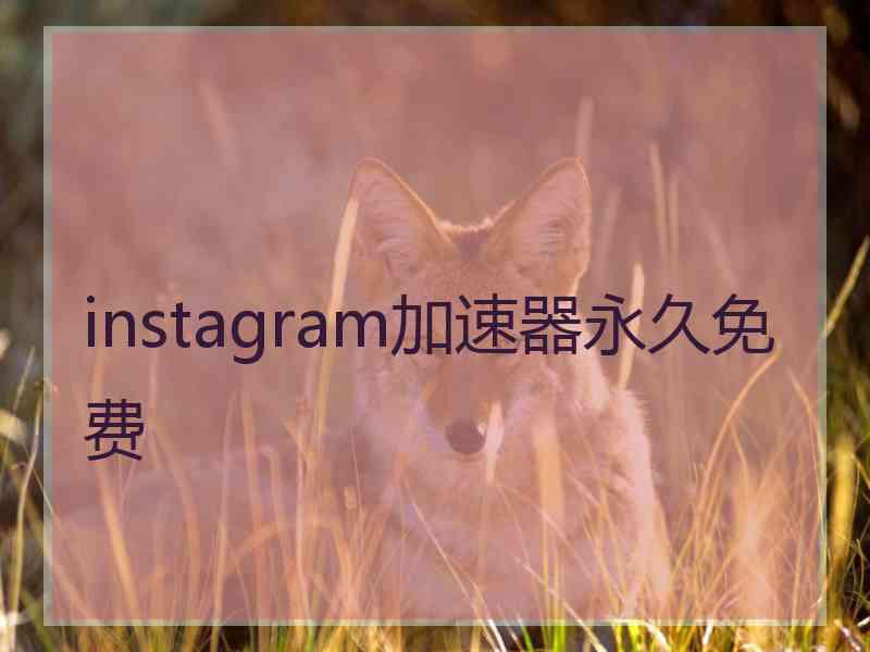 instagram加速器永久免费